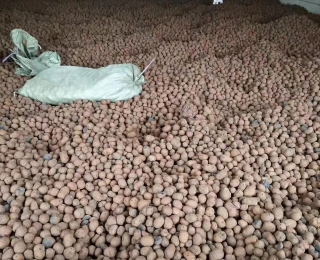防潮陶粒